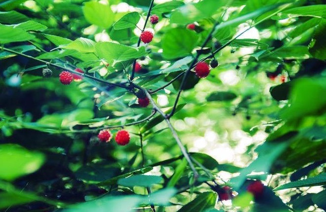 了解情绪的源头,你才能真正懂人性,才能真正调动智慧