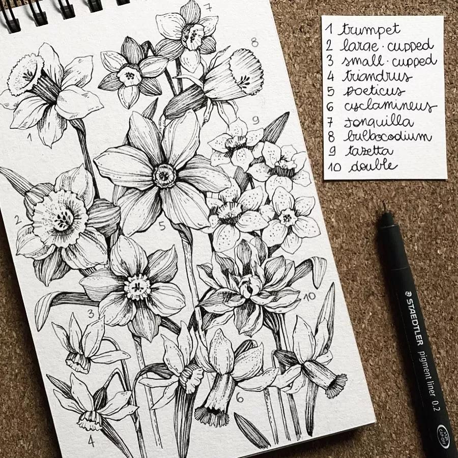 一看就懂的针管简笔画,针管笔入门手绘1000例临摹图