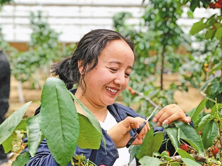 尼木县产业,尼木招商引资