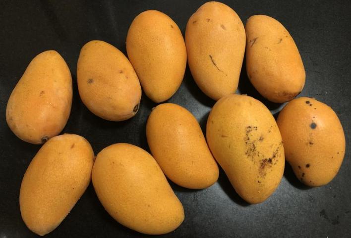 买芒果最忌讳什么,买芒果口诀