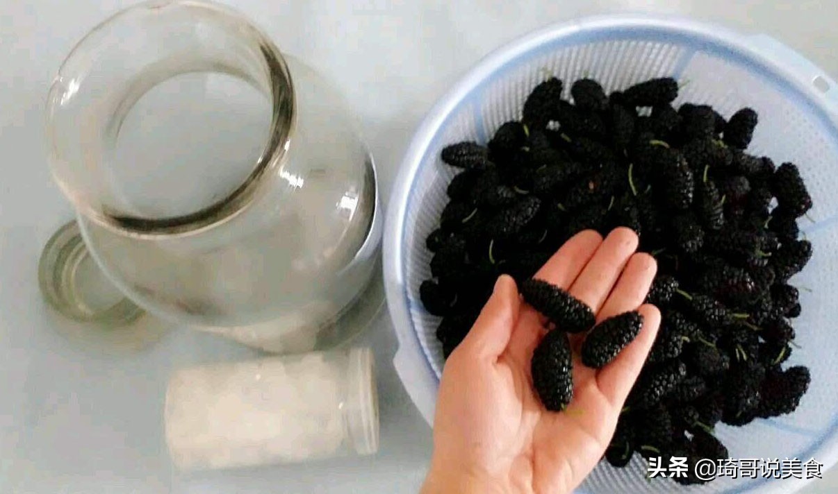 桑葚泡酒配方及功效与作用,桑葚泡酒喝的功效做法大全