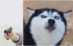 还在胡吹？这些网红产品连成分都不合法？！