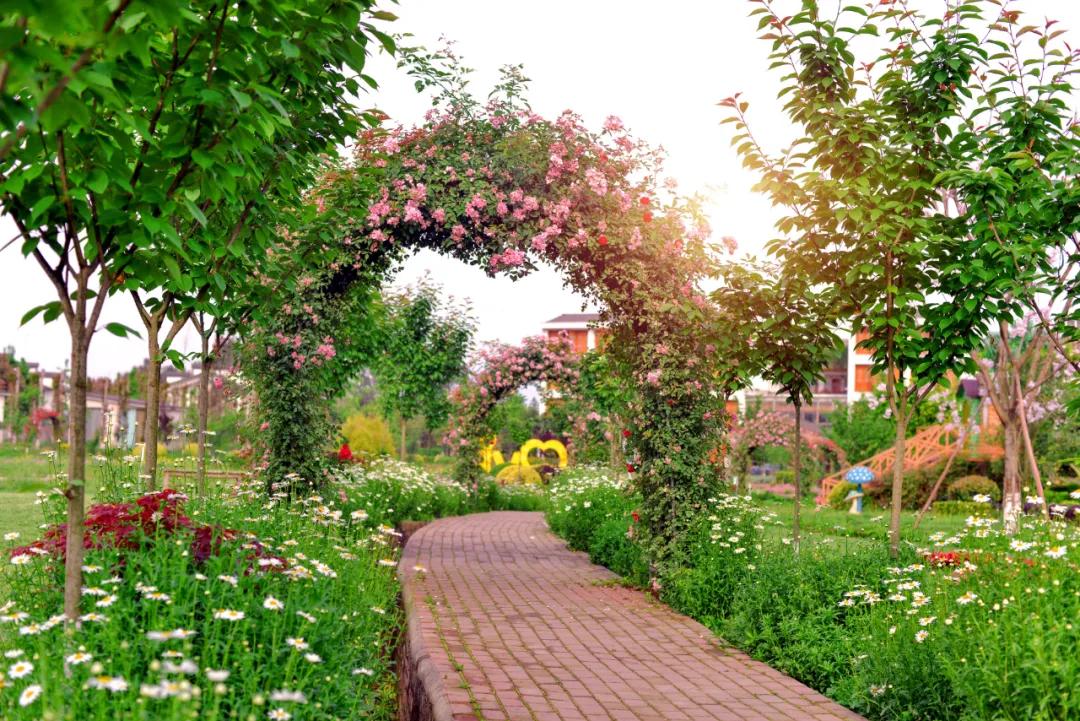 战旗村妈妈农庄,到战旗村妈妈农庄怎么走