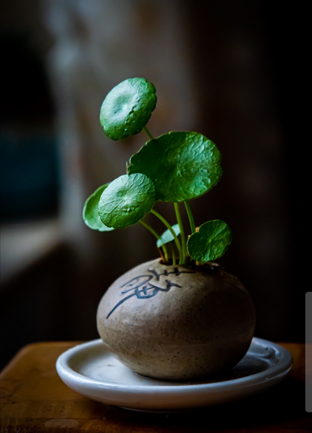 35句励志诗词名句惊艳了岁月,关于自强不息的励志诗句精选