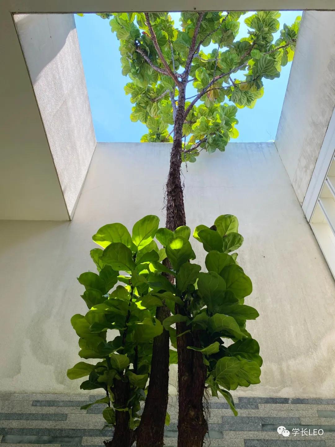 哈佛学长碎碎念：夏天就应该去海边，南方的海有多美？