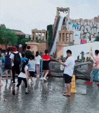 这只鹦鹉一直以为他是一只猴,所以每天都在重复做这个动作