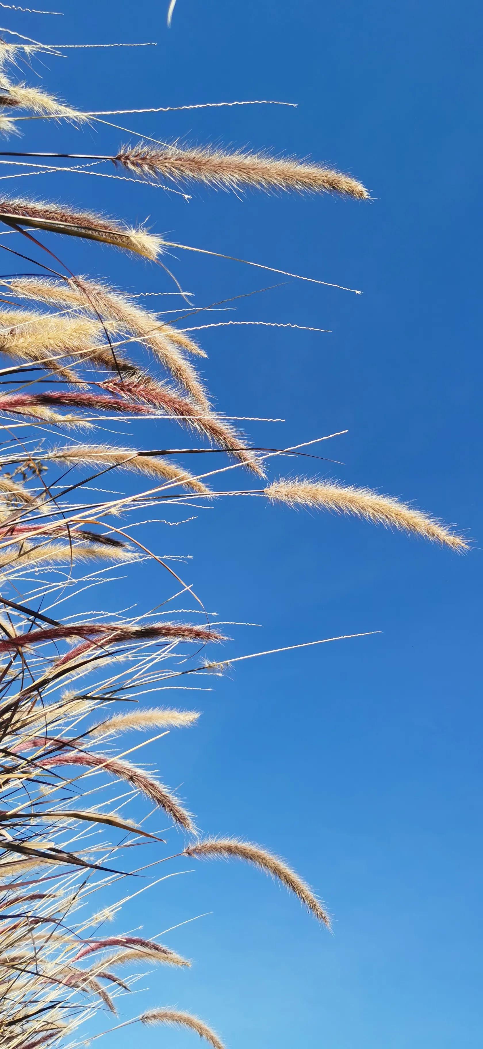 泡温泉泡澡的好处,泡温泉能缓解心慌吗