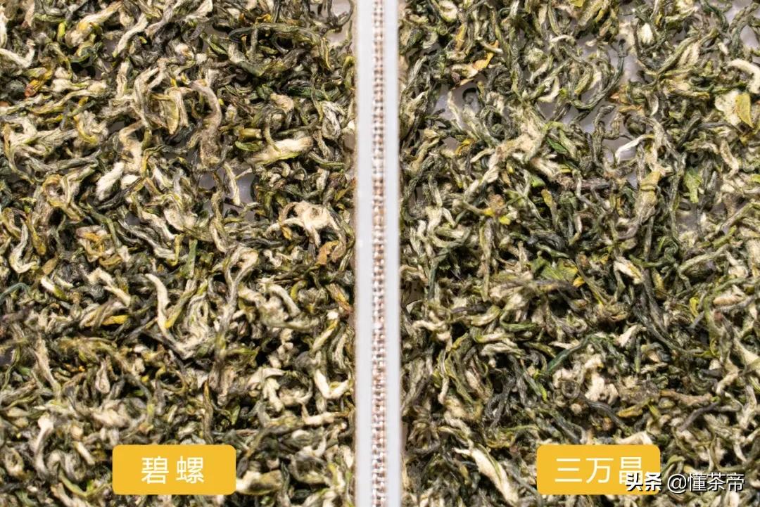 十大品牌的碧螺春排名,碧螺春哪个品牌卖得最好