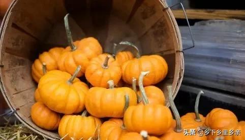 小麦引进中国之前人们吃什么,涨姿势科普刷新您对大米的认知