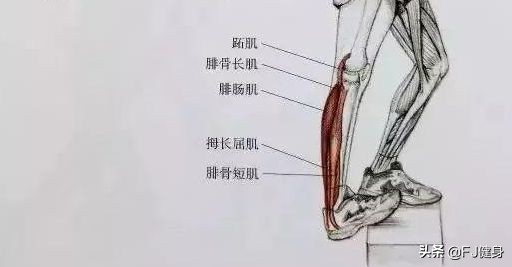 跳绳跳的脚踝和膝盖不舒服,跳绳为什么老是膝盖疼