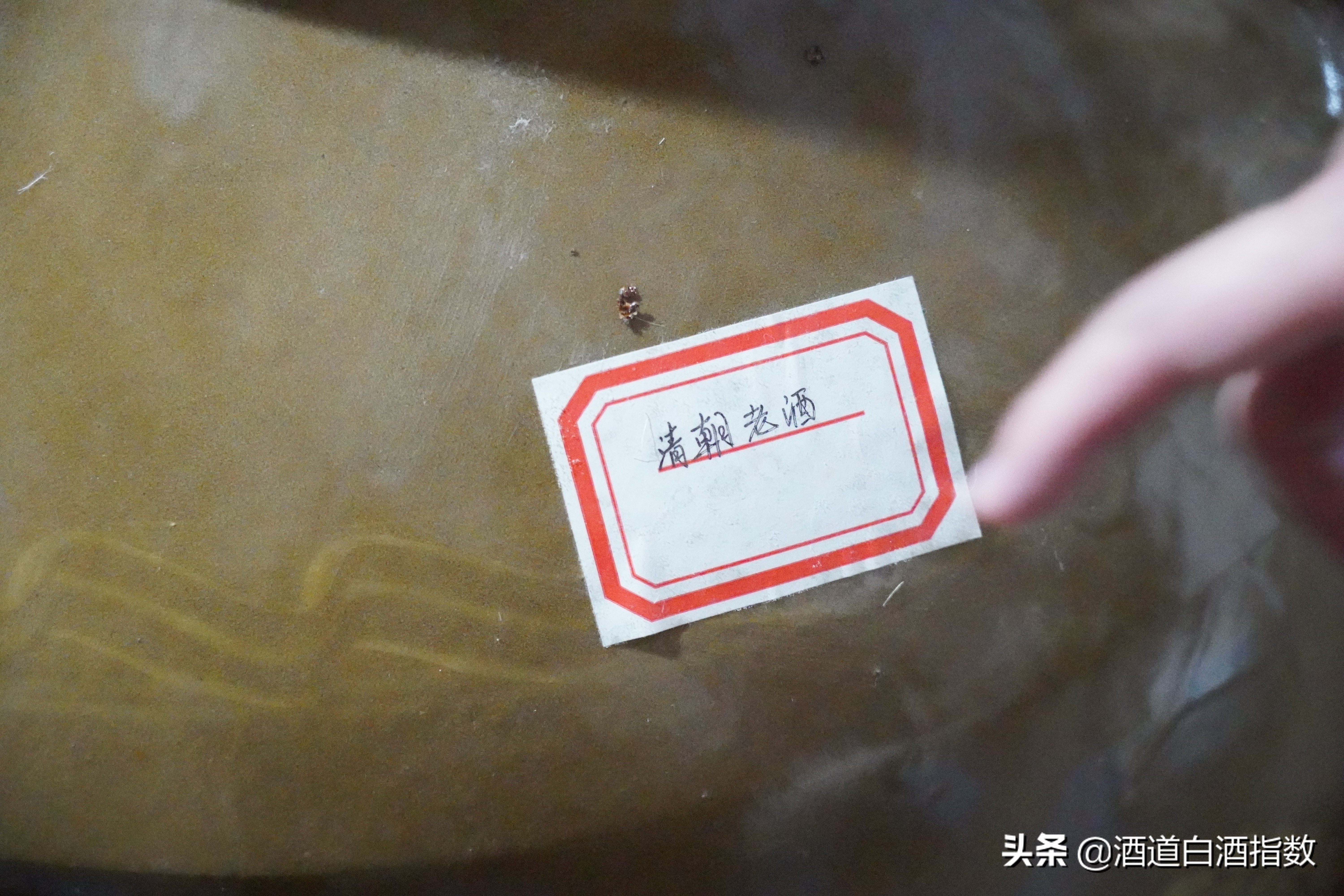 探索深藏闹市的百亿酒窖揭开清朝老酒神秘面纱——袁曦藏老酒会馆