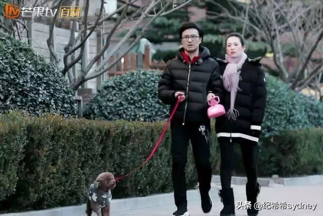 妻子2包文婧袁咏仪,妻旅章子怡汪峰