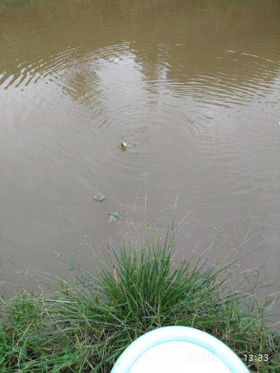 本汀宗师典藏版,本汀宗师完整视频