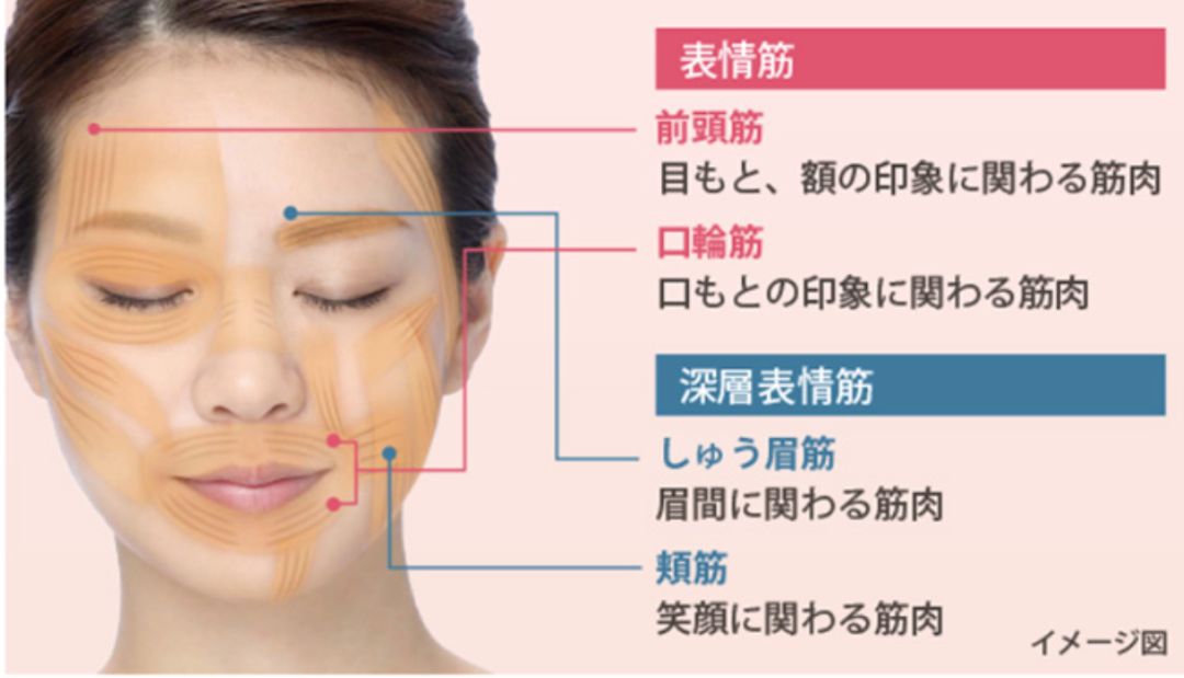 如何选择美容仪器品牌,如何选美容仪便宜好用