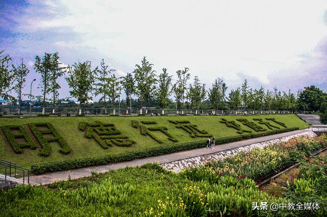 重庆交通大学杨林：发挥交通特色优势，着力培养高素质应用型人才