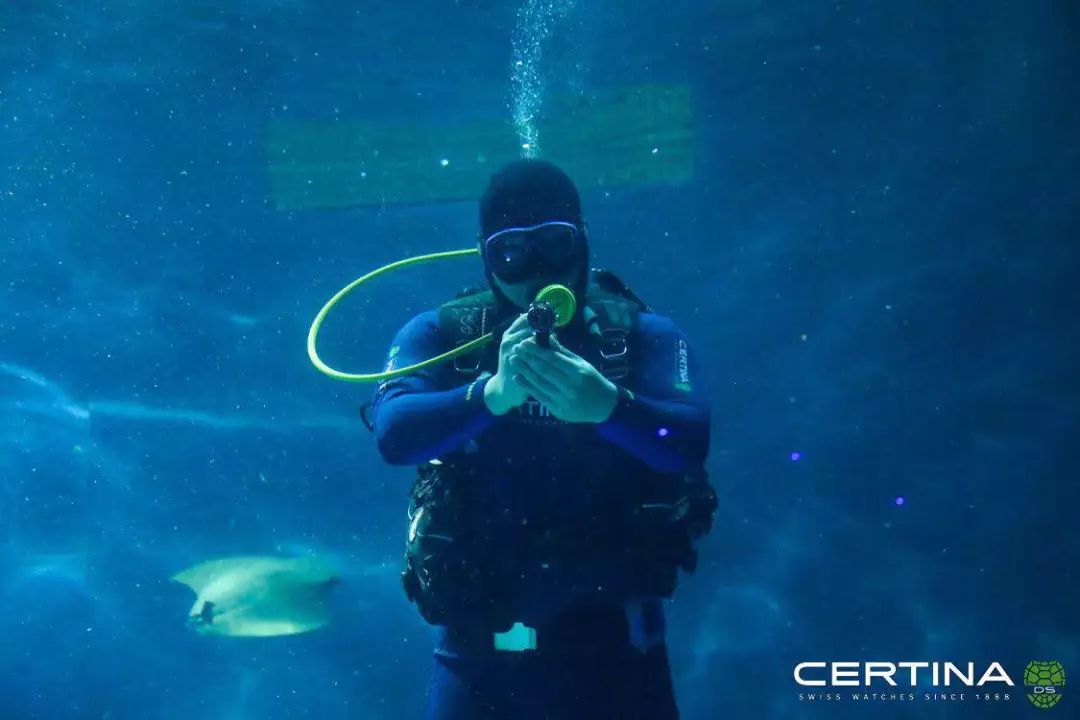 性价比高的石英潜水表,500米防水潜水表推荐