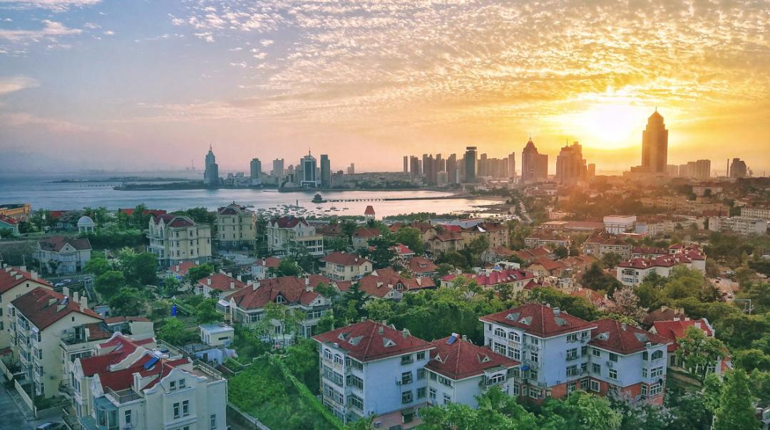 均温20℃的海滨老城，紫色泡桐花美得像国外，现在去性价比超高