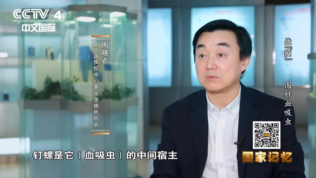 灭杀钉螺,消灭钉螺是消灭血吸虫的重要手段