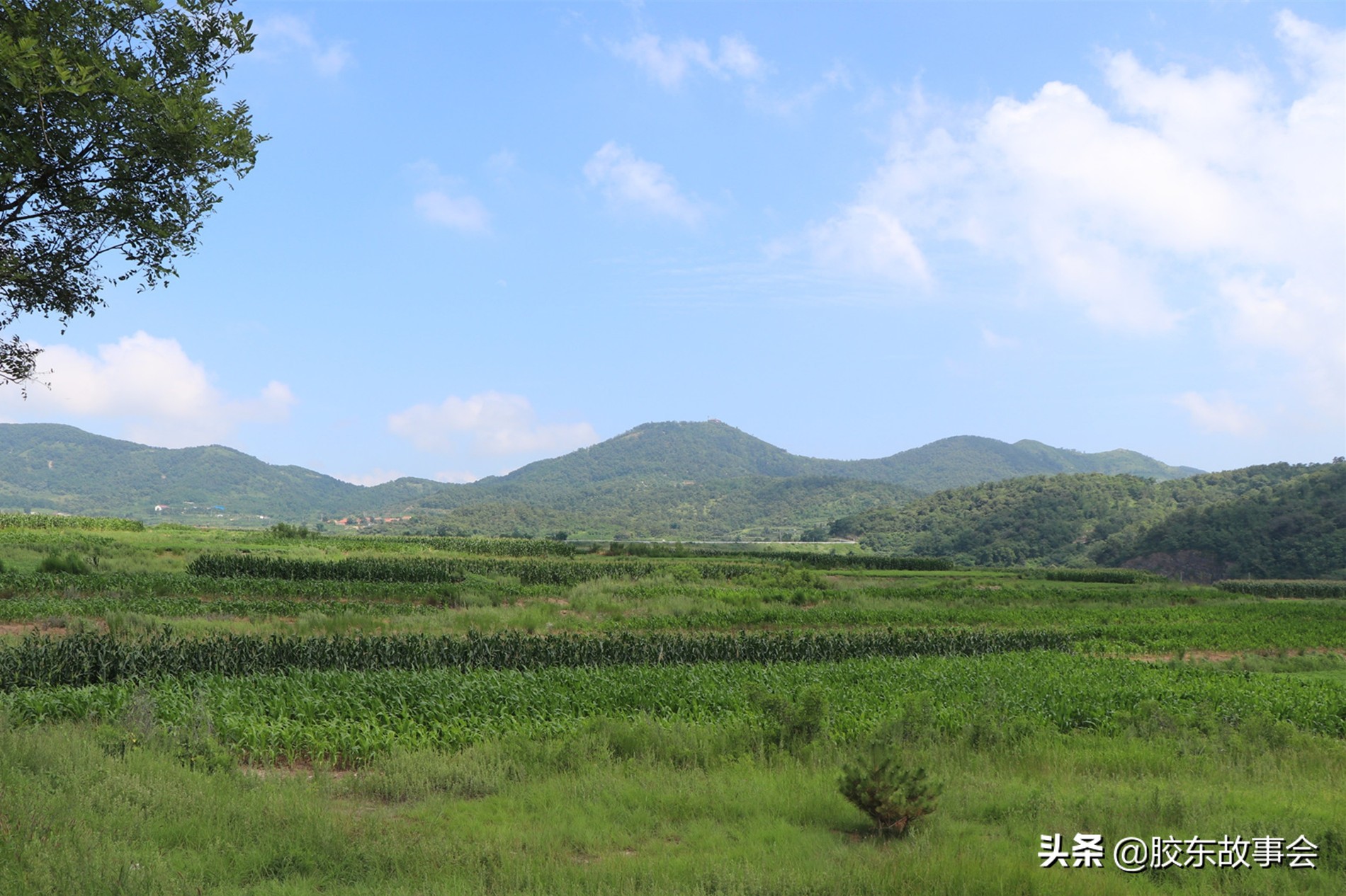 薛姓氏的历史名人的故事,山东莱阳薛村梁姓字辈