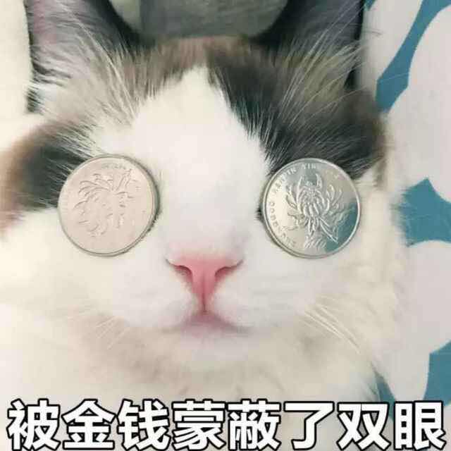 足球的搞笑时刻看完真笑死了,足球赛场那些经典搞笑瞬间