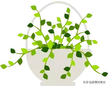 南京十大顶级养老院,南京养老院年轻人入住