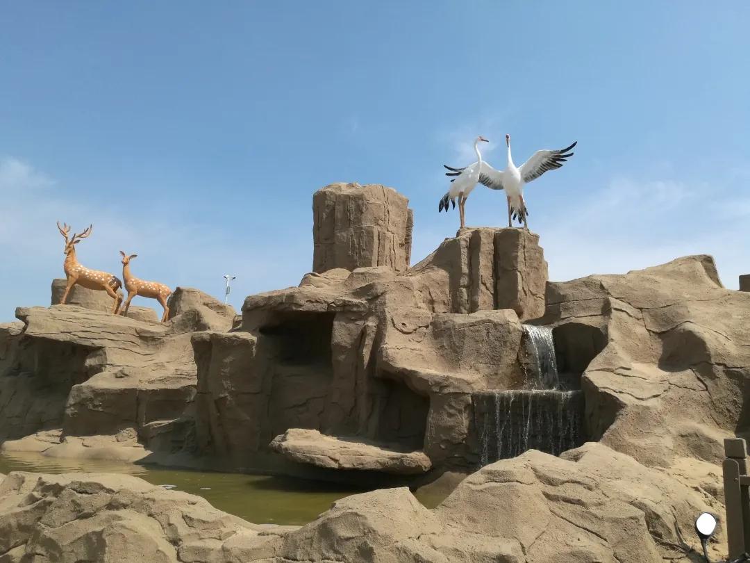 醉花海古镇美景,醉舞花海