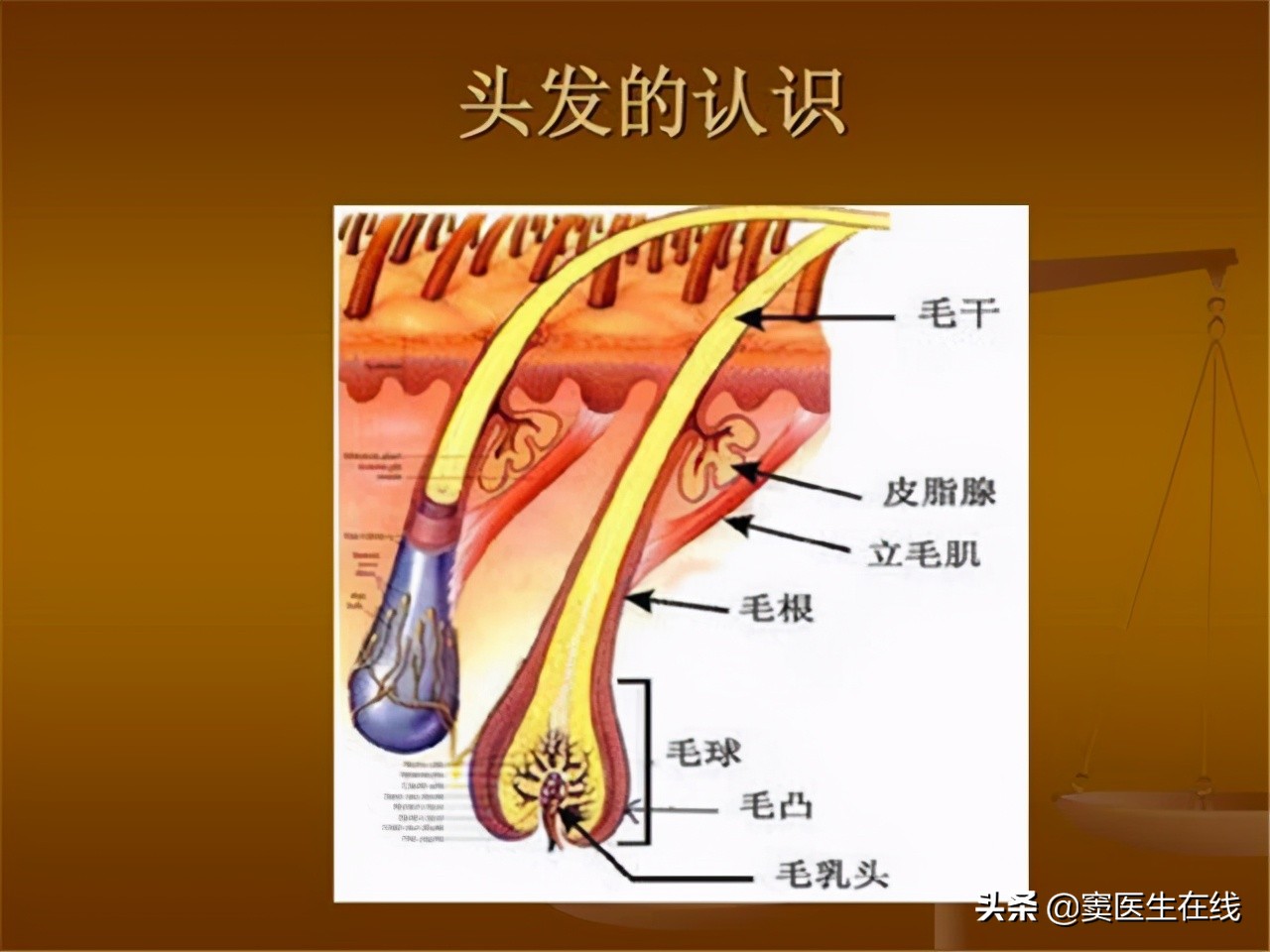体毛要不要刮掉要一直处理吗,体毛刮掉对身体有什么影响
