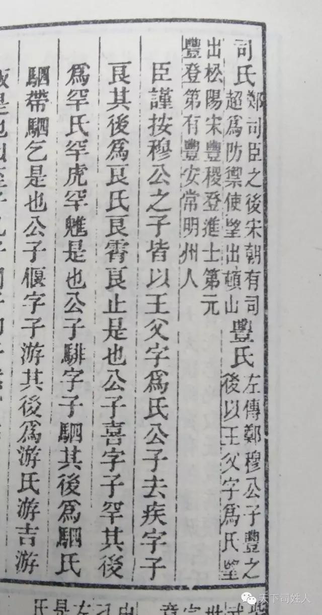 司氏照片,司氏图腾