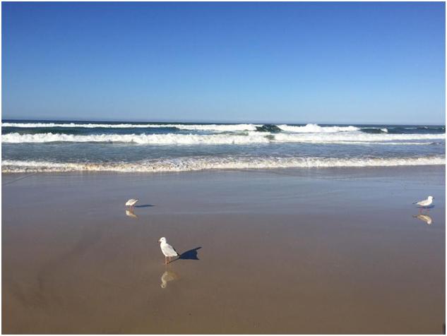迈阿密海滩高级感泳装身材,经验心得分享篇