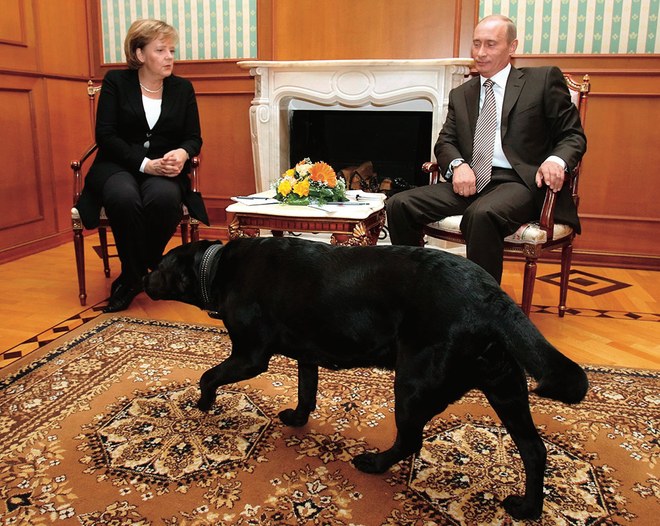 帝国的转身:默克尔的“肖像”