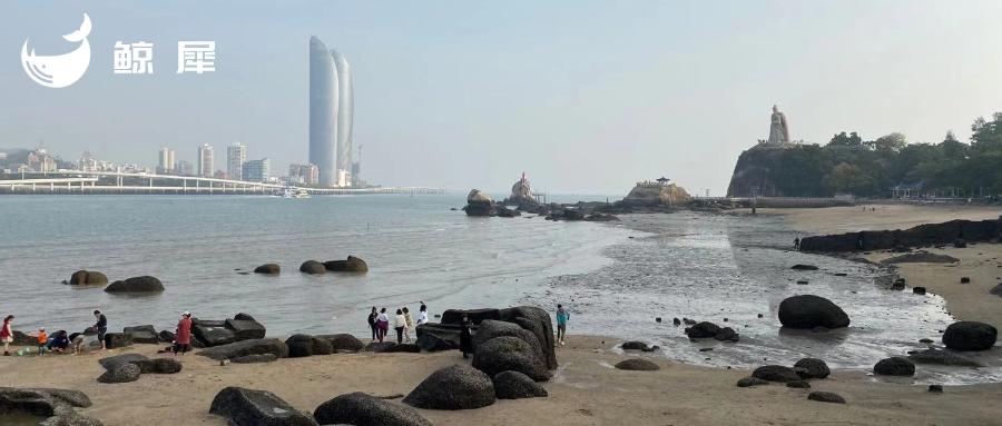 厦门的产业互联网进击之路,厦门的产业