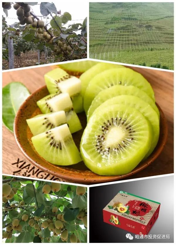 欢迎大家来公司合作,欢迎有识之士来投资兴业