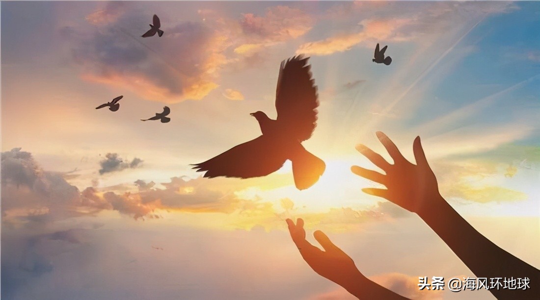 一旦进入战争状态老百姓该做什么,一旦进入战争状态怎么解决