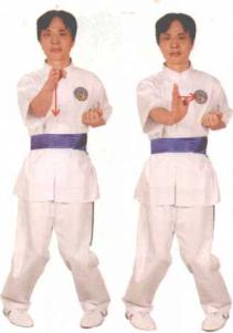 巧妙防守从短制长_咏春拳实用的攻防技术能巧妙地化解腿技