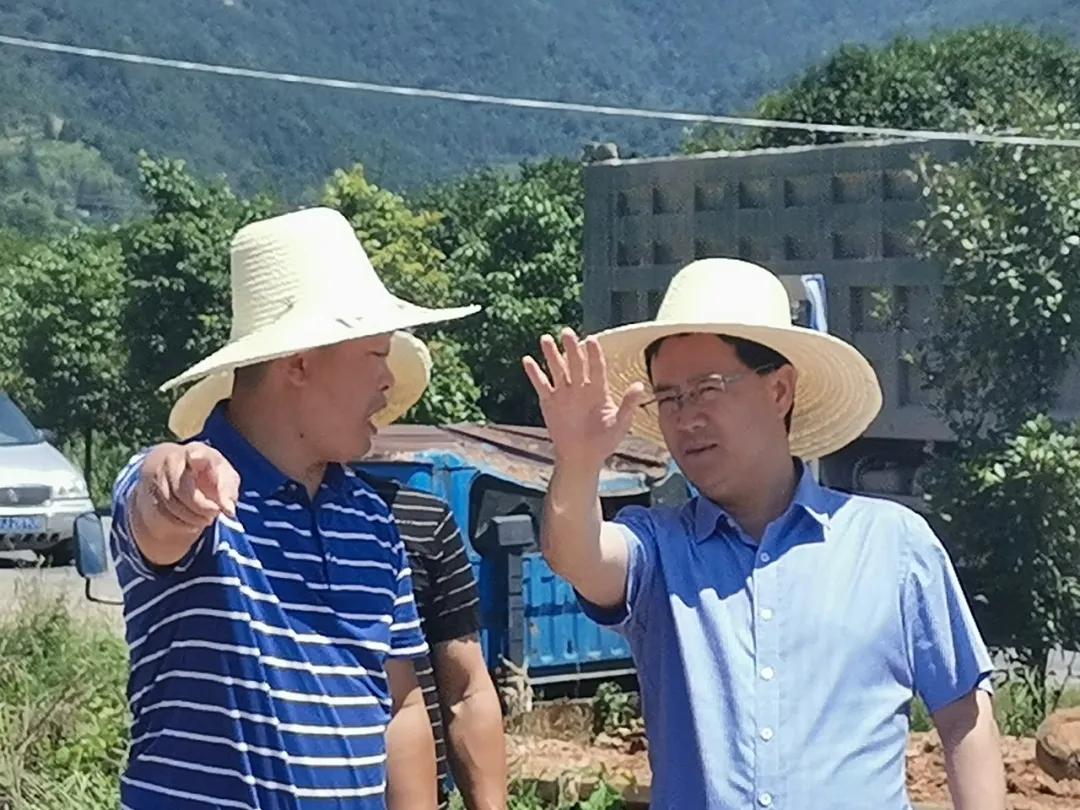 莲花县足球场在哪里,莲花足球场设计