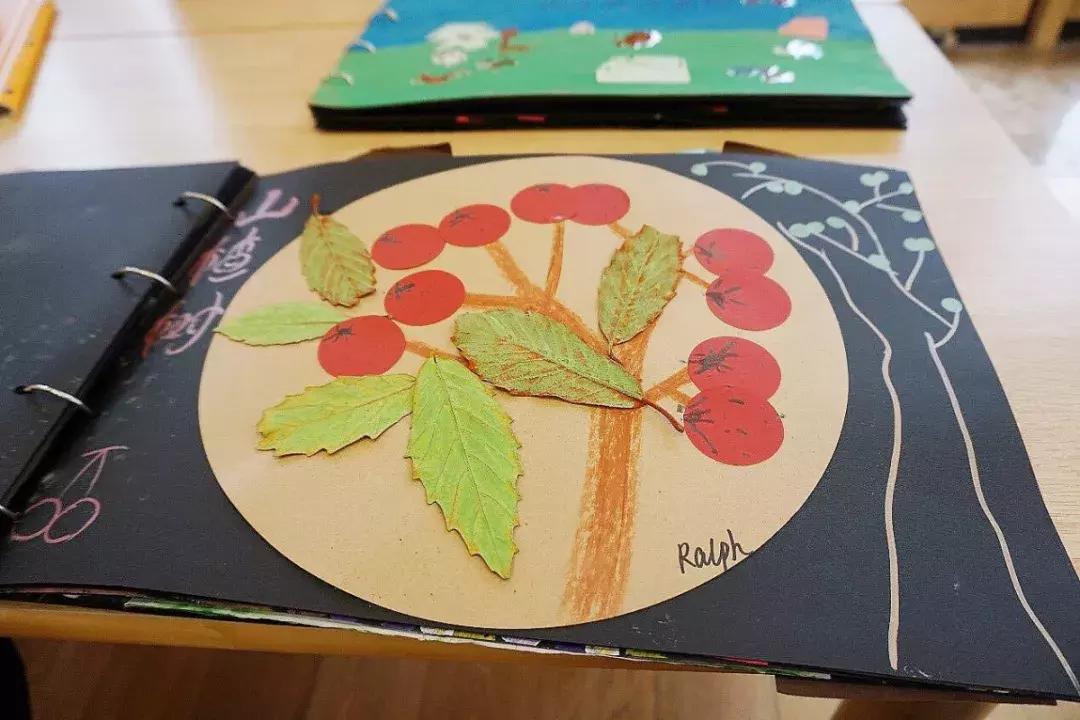 上海哪些公办幼儿园有0-2.5岁托班,上海有托班的民办幼儿园