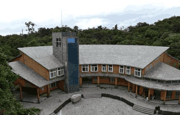 李娜为什么在国际上名气那么大,李娜真的重返歌坛了吗