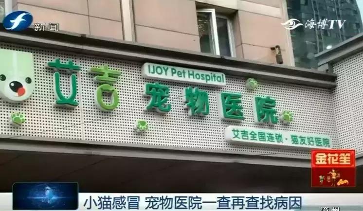 鍝瀹犵墿鍖婚櫌姝h涓嶄贡鏀惰垂,鏇濆厜瀹犵墿琛屼笟榛戝箷