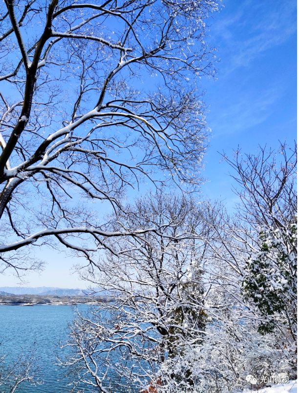 替你“打卡”！疫情中的光山雪景