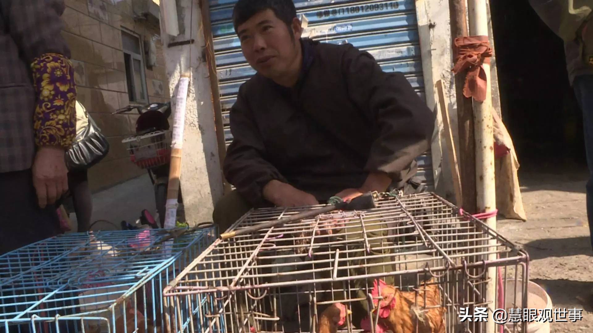 《侯海洋基层风云》杜敏：从老味道餐馆合格的合伙人到分道扬镳