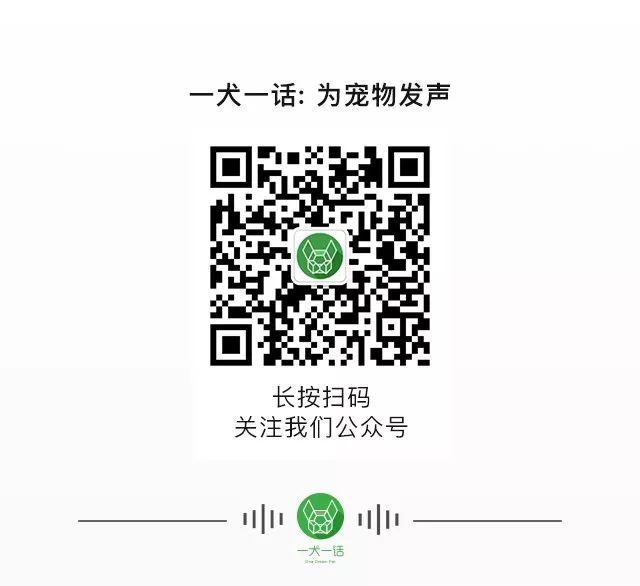 养猫可以治愈抑郁症吗,养猫真的能改善抑郁症吗