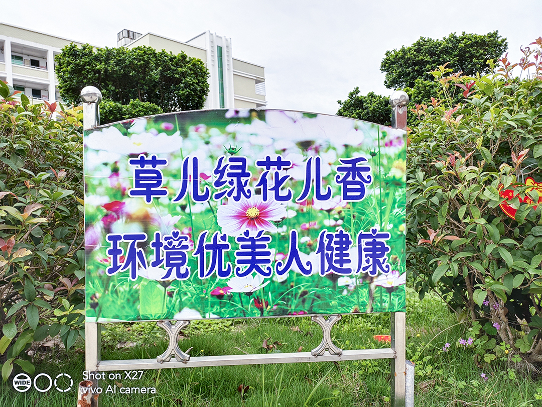 vivox27蓝绿渐变,vivox27测评印象夏日