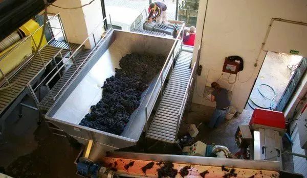 红葡萄酒酿造的一般工艺流程,红葡萄酒一般酿造流程