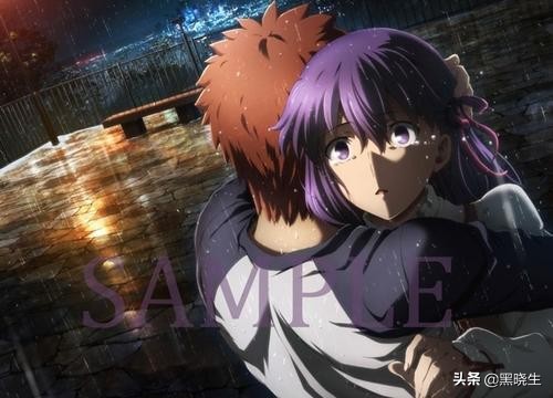 fatestaynight隐藏结局只有ps2才有吗,fatestaynight的braveshine