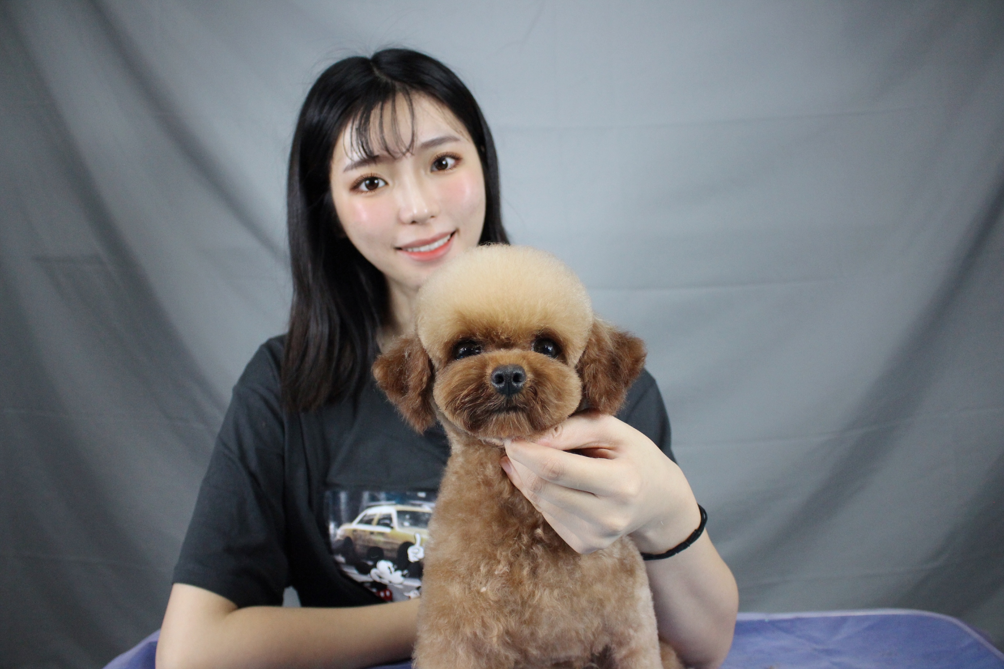 宠物美容师值得坚持吗,宠物美容师招聘学徒靠谱吗