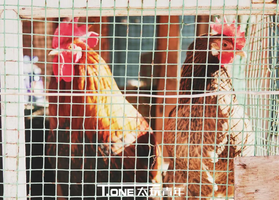 探寻榆次,探寻电子厂