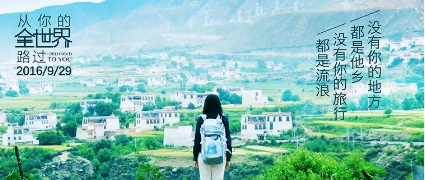 从你的全世界路过完整版观后感,从你的全世界路过观后感1500字