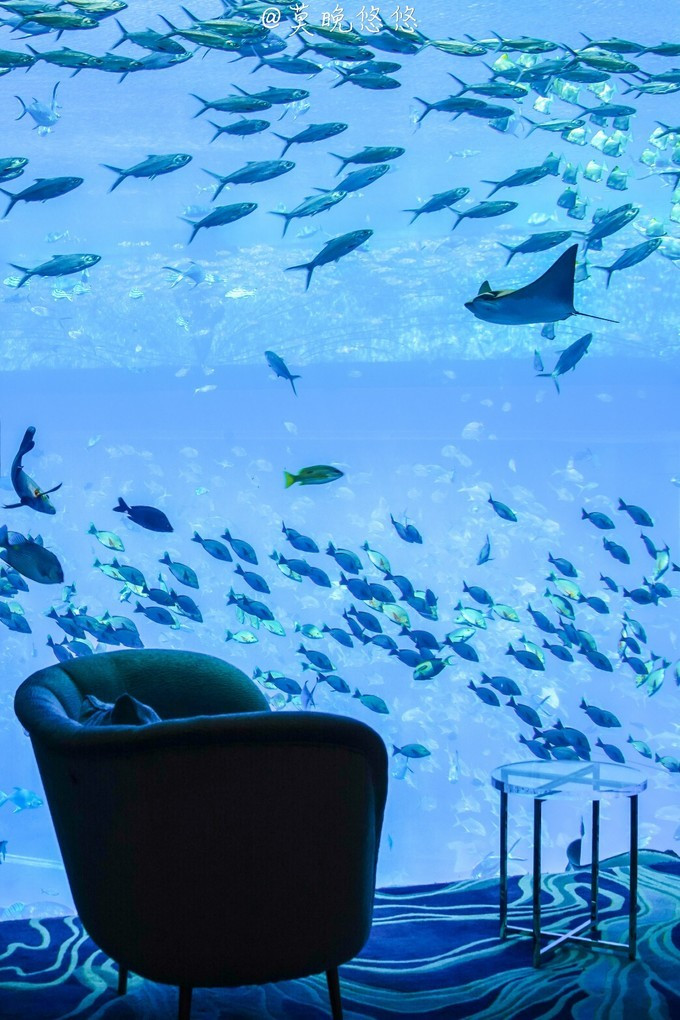 七星级酒店亚特兰蒂斯,三亚七星级酒店亚特兰蒂斯门票