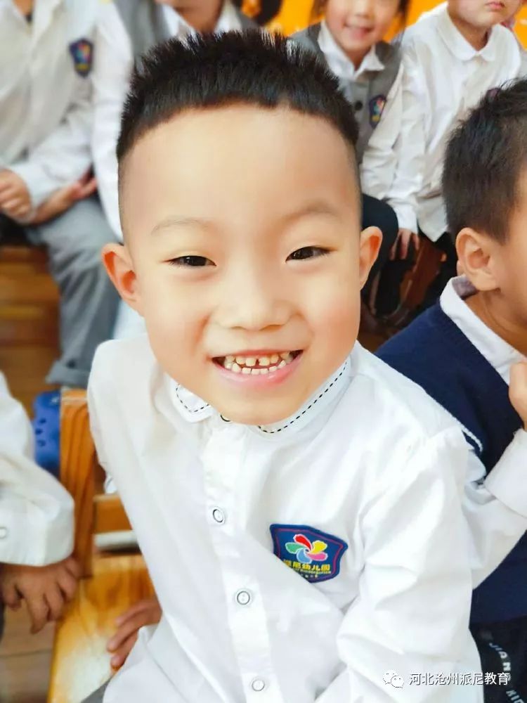 身体大揭秘动画,身体大揭秘