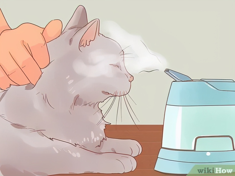 科普鼻炎小知识,慢性鼻炎鼻腔分泌物多